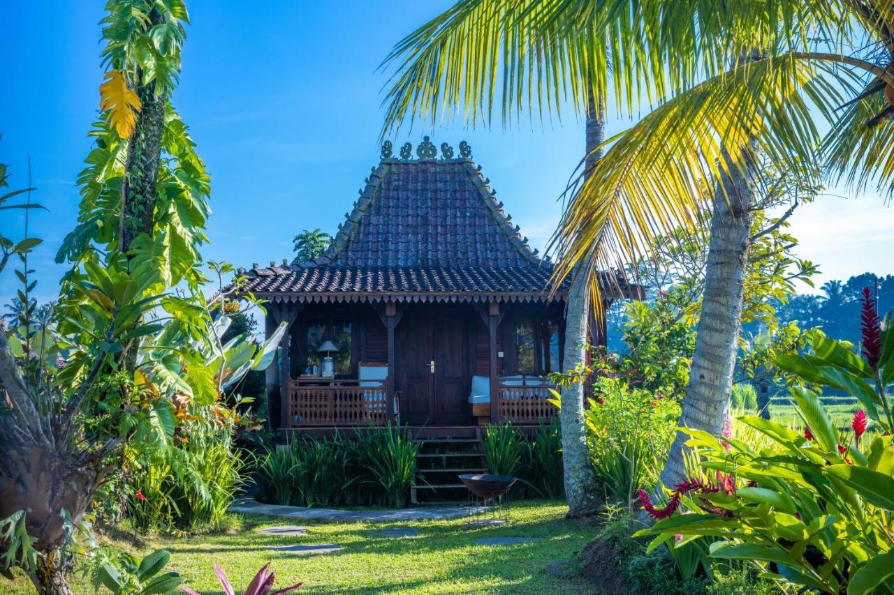 Villa Neyang Ubud Exterior foto