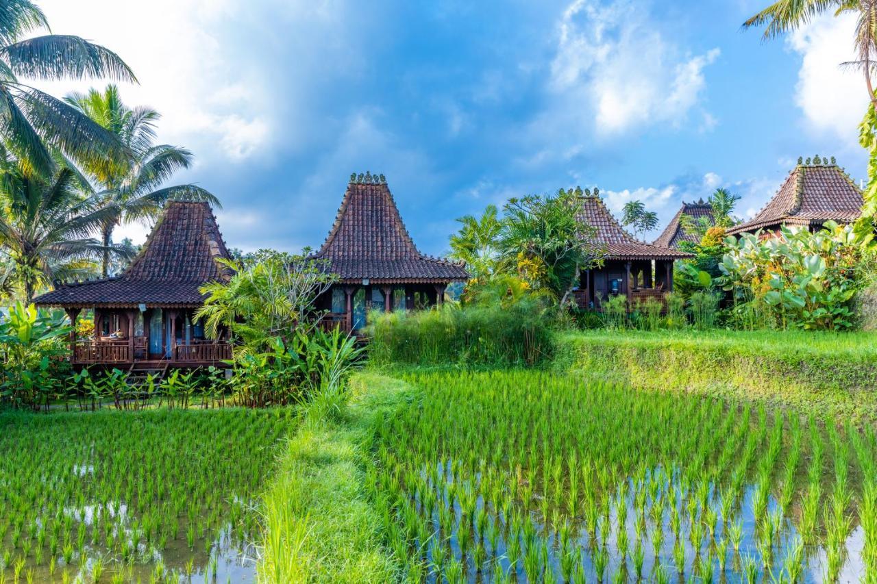 Villa Neyang Ubud Exterior foto