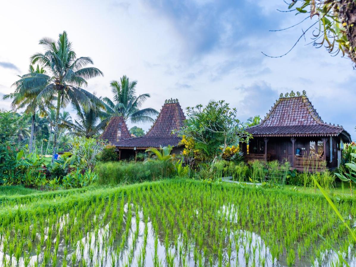 Villa Neyang Ubud Exterior foto
