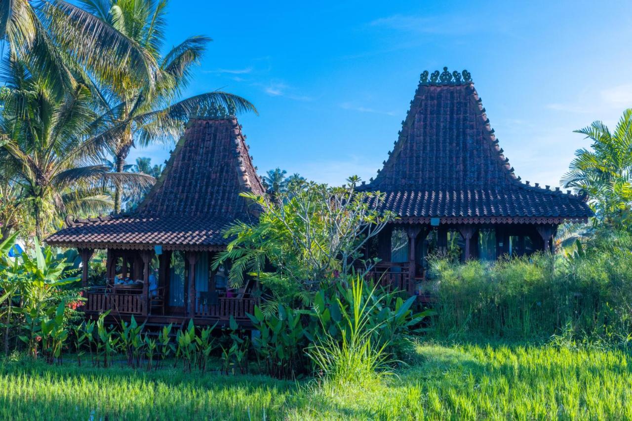 Villa Neyang Ubud Exterior foto