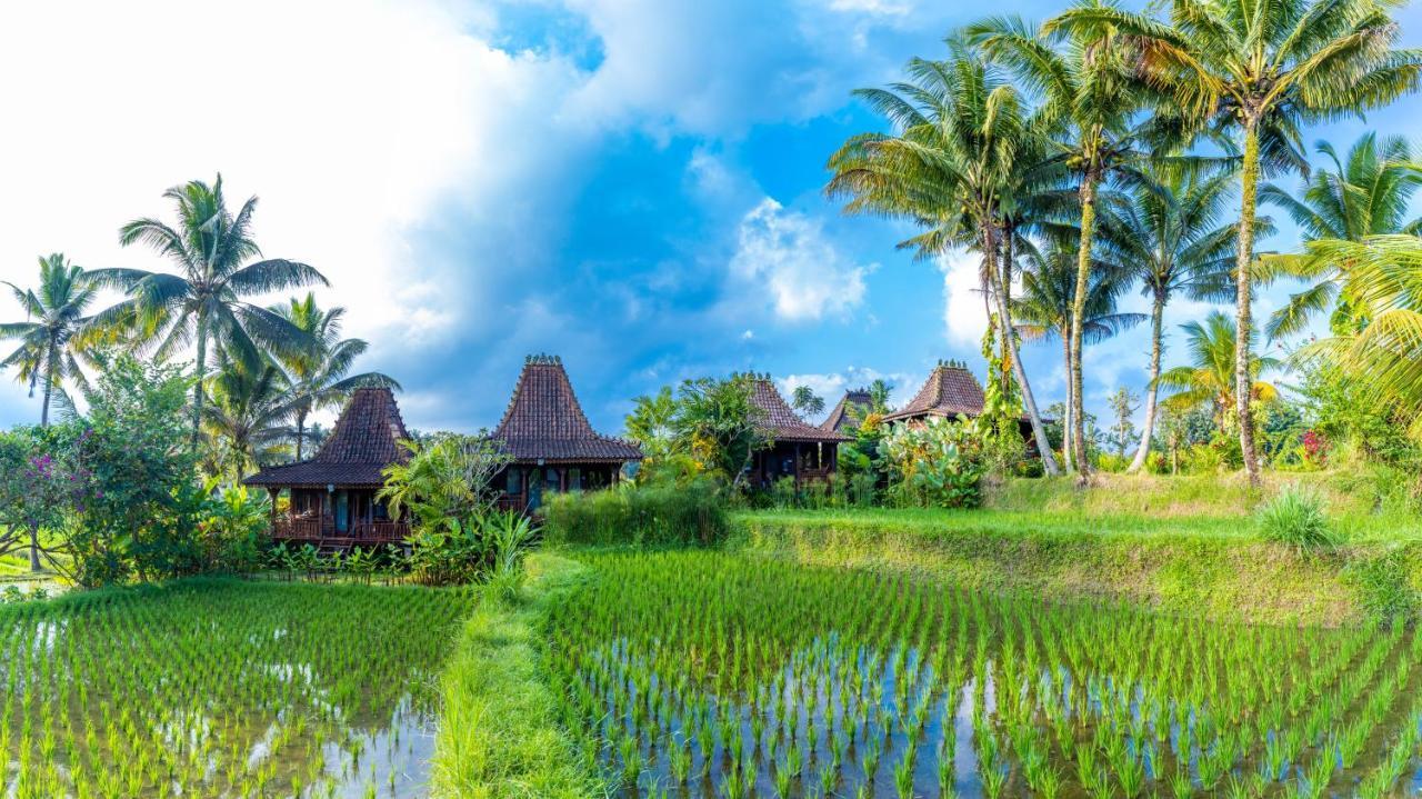 Villa Neyang Ubud Exterior foto