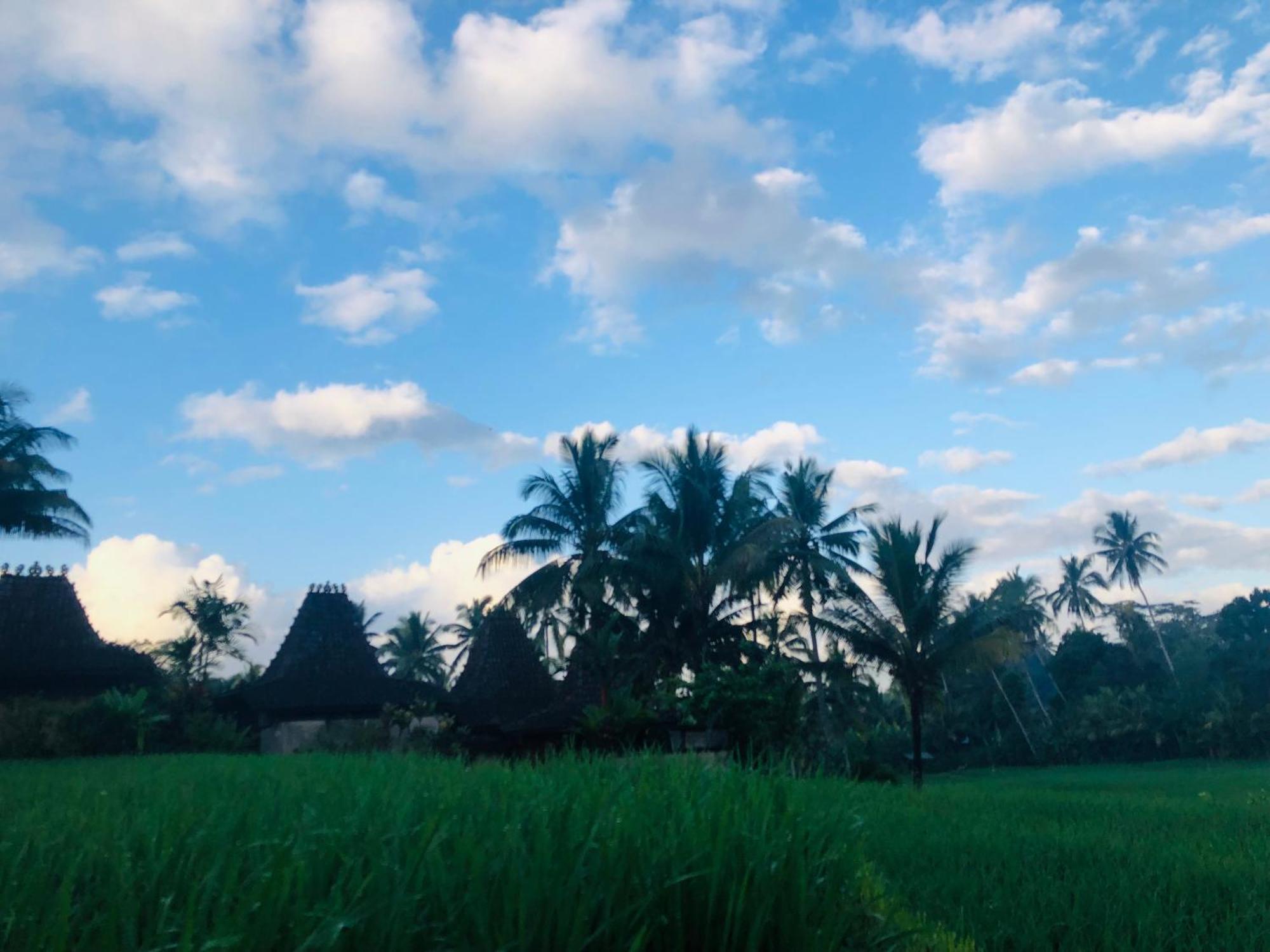 Villa Neyang Ubud Exterior foto