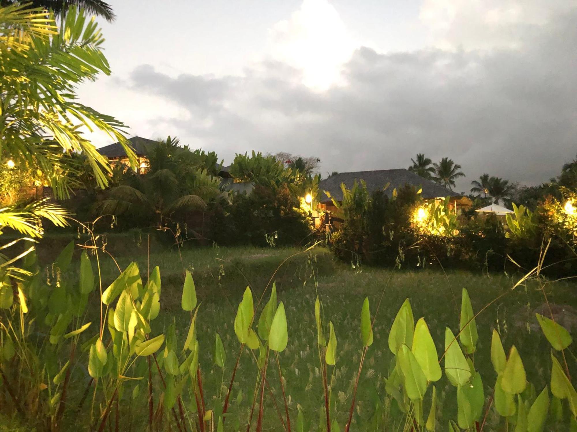 Villa Neyang Ubud Exterior foto
