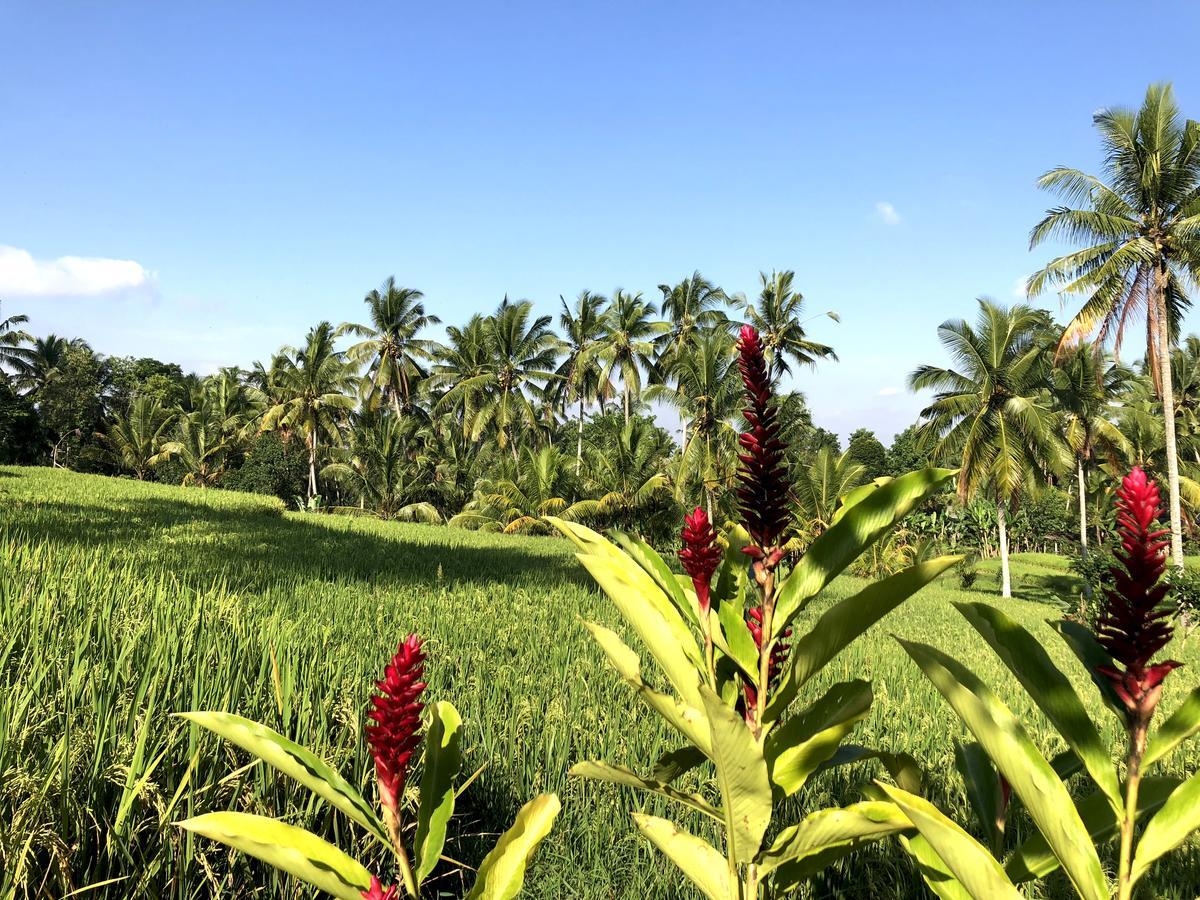 Villa Neyang Ubud Exterior foto