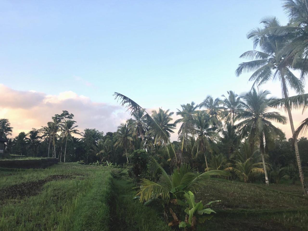 Villa Neyang Ubud Exterior foto