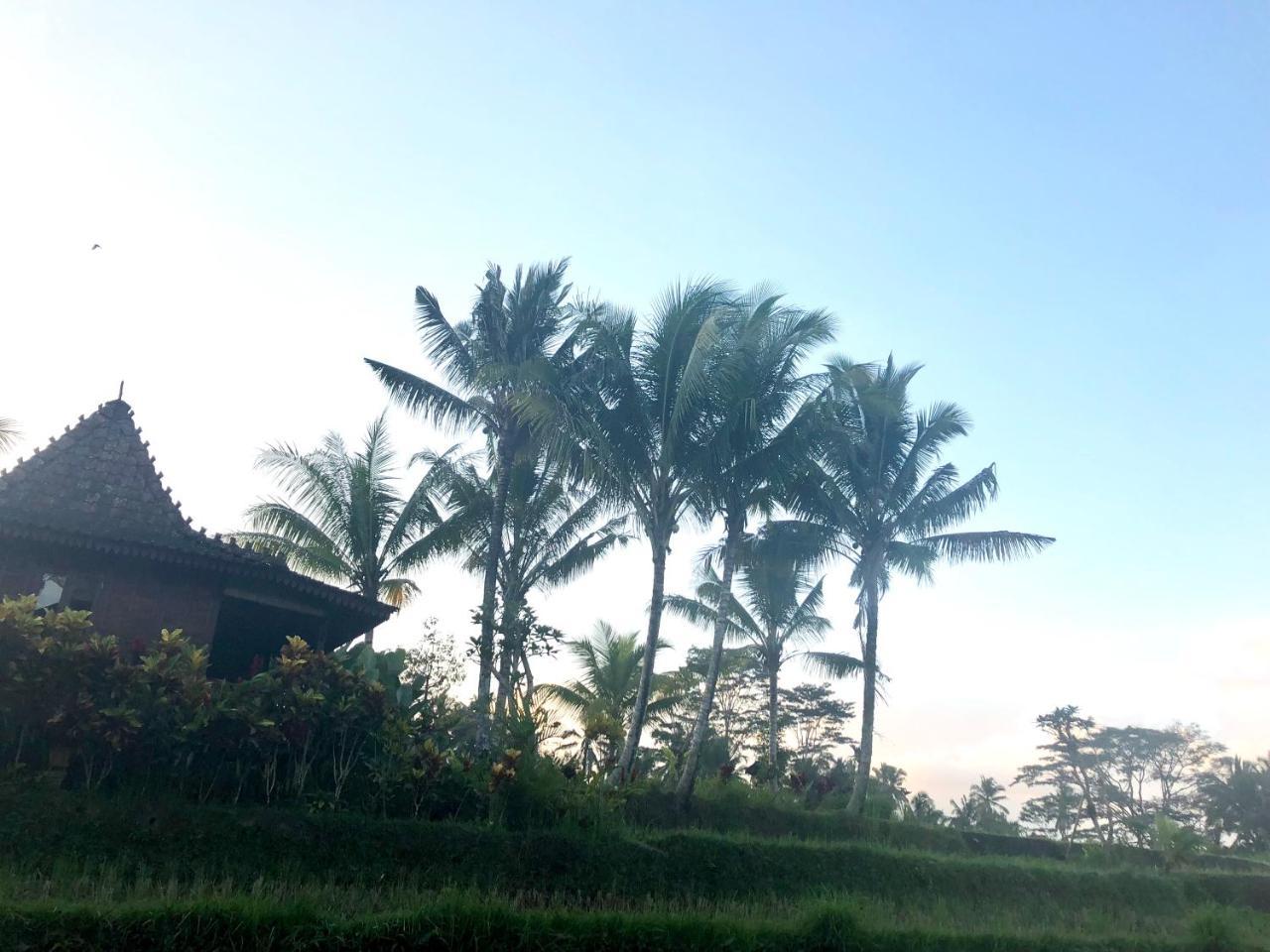 Villa Neyang Ubud Exterior foto