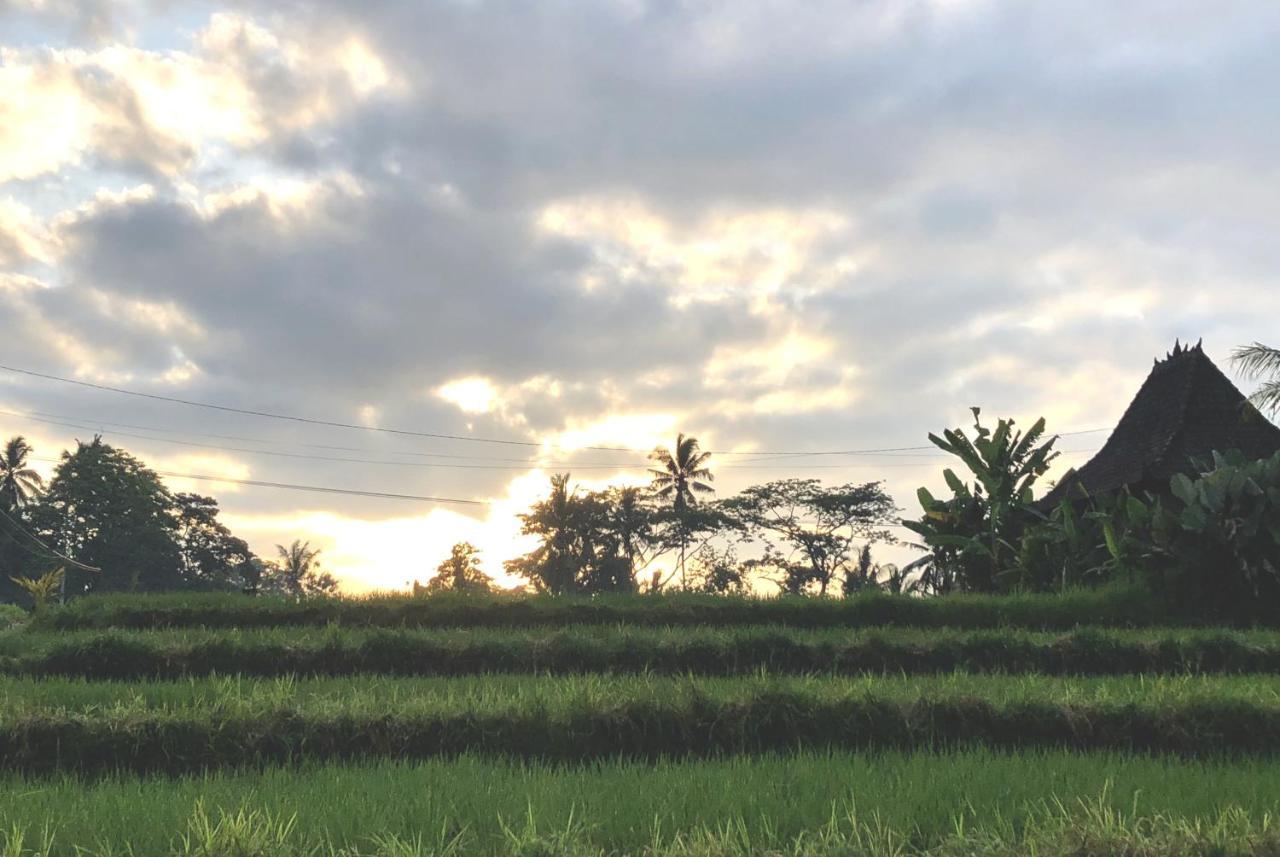 Villa Neyang Ubud Exterior foto