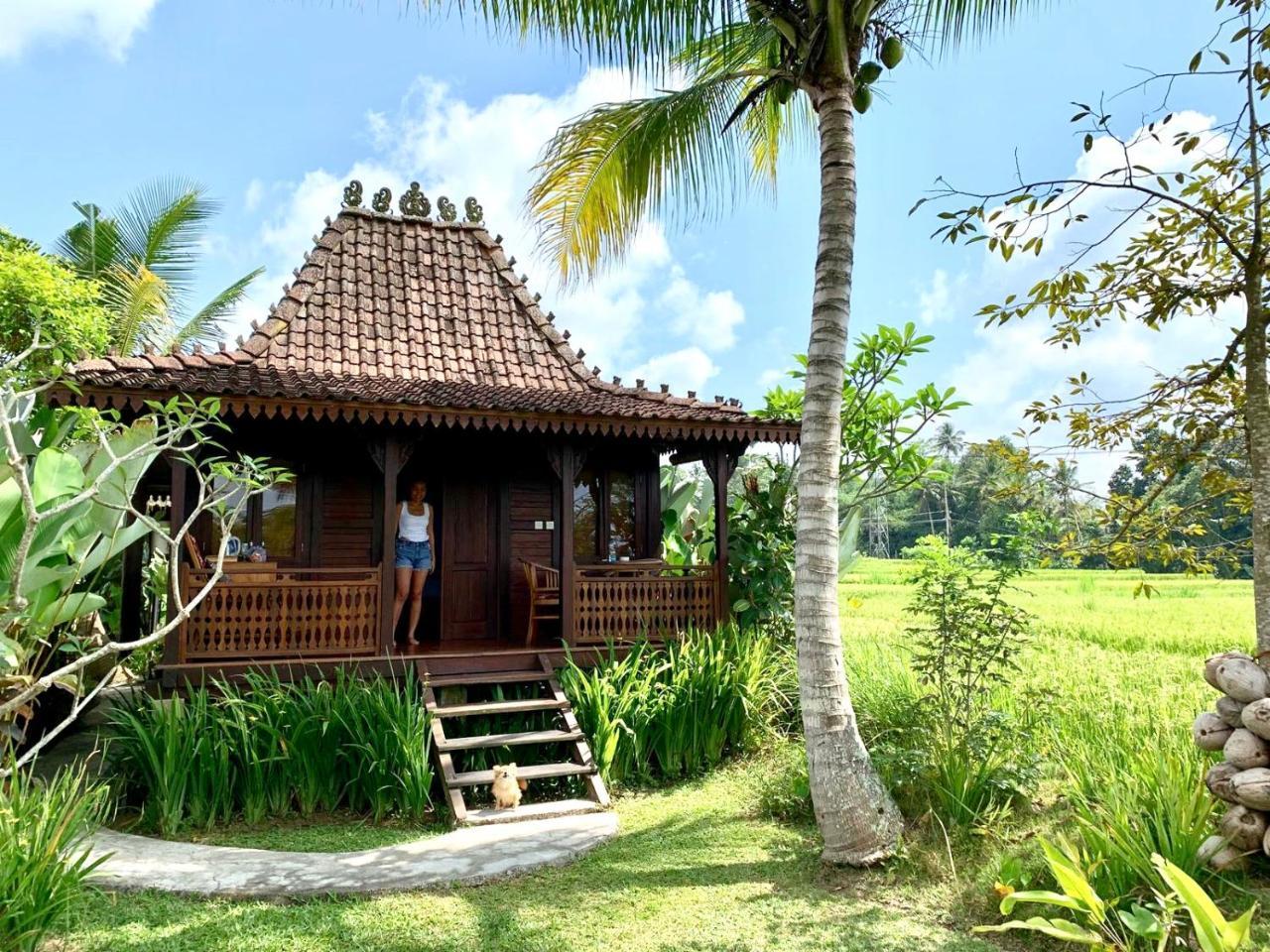 Villa Neyang Ubud Exterior foto